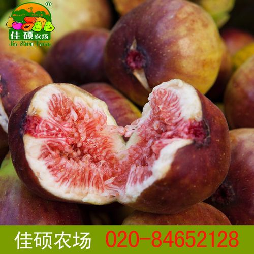 波姬红无花果 新鲜时令水果 红皮 大量批发 广州合作社自产自销