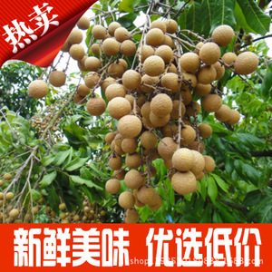 【水果甜度】水果甜度价格/图片_水果甜度批发/采购_水果甜度厂家/供应商